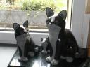 Granitkatzen 13, 26 und 37cm hoch